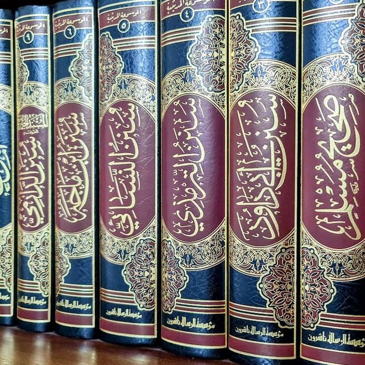 Introduction to Hadith Sciences