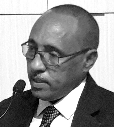 Dr Esmat Mahmoud A Sulaiman