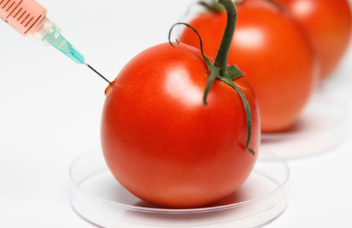 The Debate on Genetically Manipulated Food
