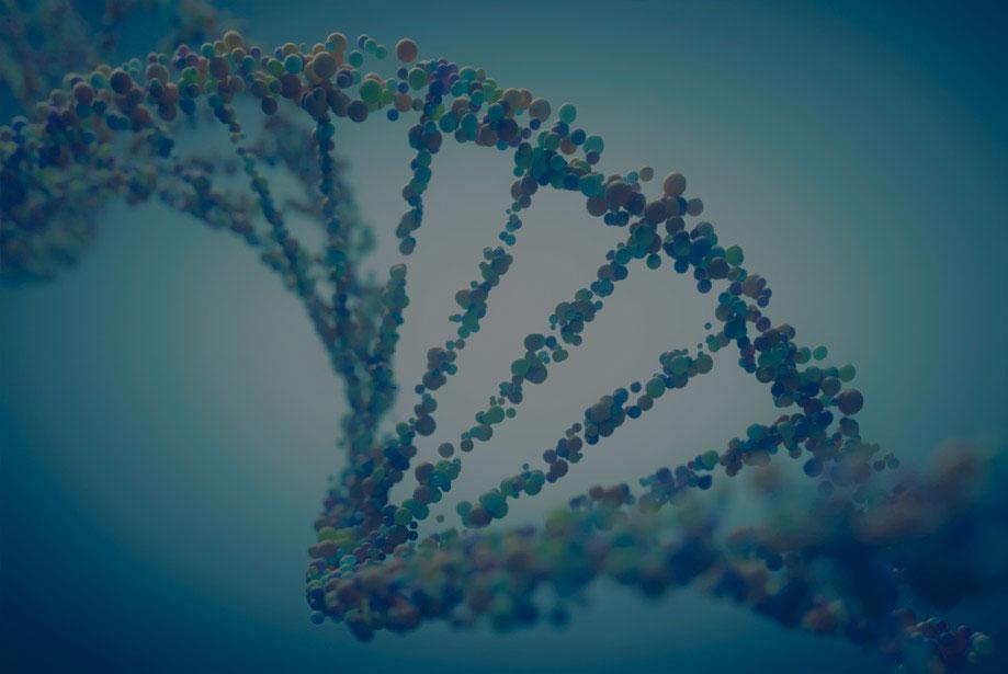 Genomics and Islamic Ethics: QNRF IGGR-CILE